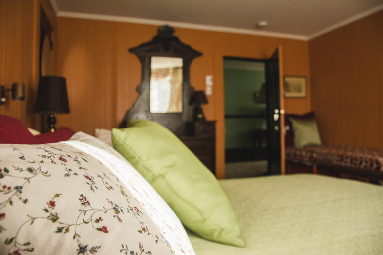 2025 la grande dame gîte rural la corail 6