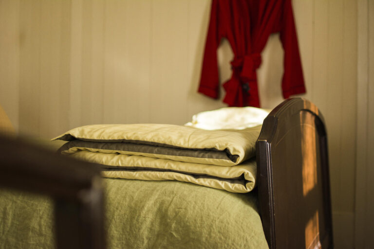 2025 la grande dame gîte rural la paille 7