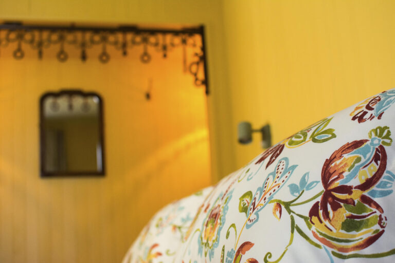 2025 la grande dame gîte rural la safran 3