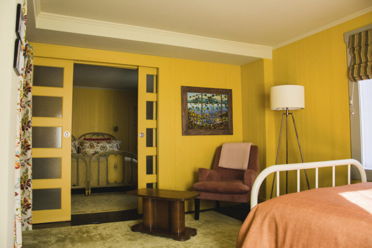 2025 la grande dame gîte rural la safran 4