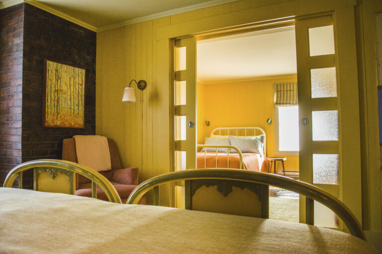 2025 la grande dame gîte rural la safran 7